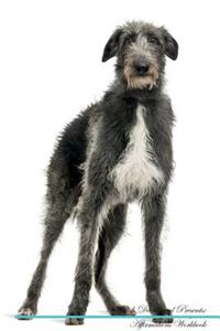 Scottish Deerhound Affirmations Workbook Scottish Deerhound Presents