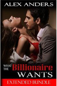 What the Billionaire Wants: Extended Bundle (Bdsm Erotic Romance)
