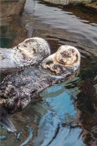 Relaxing Otters (Journal / Notebook)