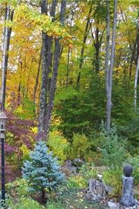 Journal Fall Foliage Colors Autumn Landscape