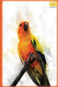 Write Here Notebooks
