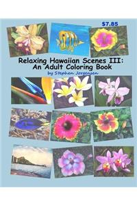 Relaxing Hawaiian Scenes III