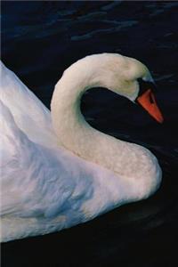 Swan Journal