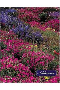 American Wildflowers Add