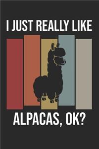 I Just Really Like Alpacas, OK?
