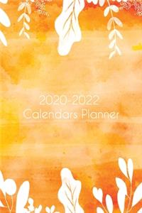2020-2022 Calendars Planner