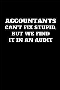 Accountants Can't Fix Stupid, But We Find It In An Audit