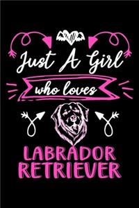 Just a girl who loves Labrador Retriever