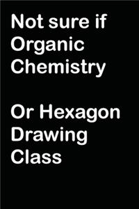Not Sure If Organic Chemistry Or Hexagon Drawing Class