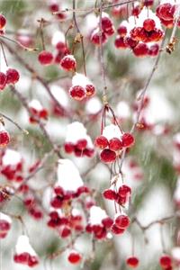 2020 Weekly Planner Winter Berries Red White Christmas Colors Snowstorm 134 Pages