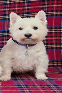 2020 Weekly Planner White Puppy Dog Photo 134 Pages