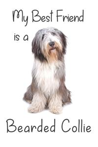 My best Friend is a Bearded Collie