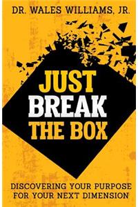 Just Break the Box