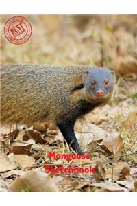 Mongoose Sketchbook