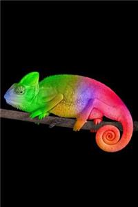Chameleon Notebook