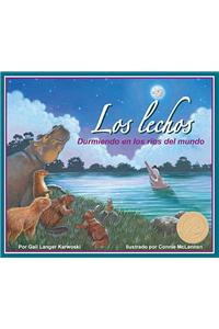 Los Lechos: Durmiendo En Los Rios del Mundo