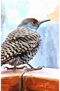 Bullet Journal for Bird Lovers - Woodpecker