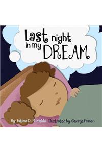 Last night in my dream.