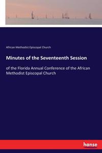 Minutes of the Seventeenth Session