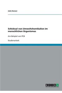 Schicksal von Umweltchemikalien im menschlichen Organismus