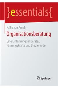 Organisationsberatung