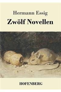 Zwölf Novellen
