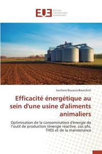 Efficacité Énergétique Au Sein d'Une Usine d'Aliments Animaliers