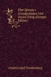 Uber Spinoza's Grundgedanken Und Dessen Erfolg (German Edition)