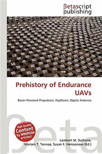 Prehistory of Endurance Uavs