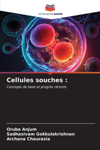 Cellules souches