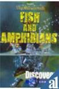 Fish and Amphibians