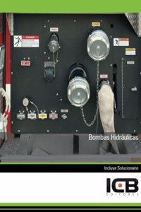 Bombas Hidraulicas (Seguridad y Medio Ambiente) (Spanish Edition)