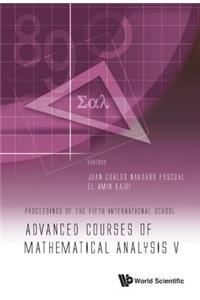 Advanced Courses of Mathematical Analysis V - Proceedings of the Fifth International School