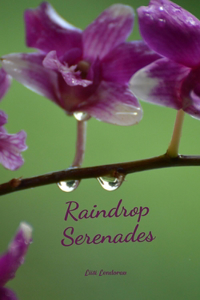 Raindrop Serenades