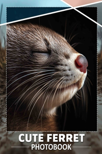 Cute Ferret Photo Book