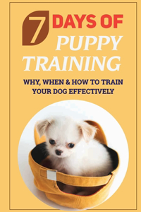 7 Days Of Puppy Training