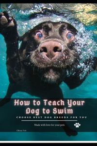 How tо Teach Your Dog tо Swim