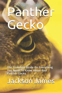 Panther Gecko: The Complete Guide On Everything You Need To Know About Red Panther Gecko