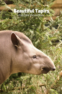 Beautiful Tapirs Full-Color Picture Book