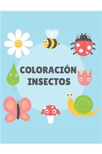 Coloración Insectos
