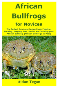 African Bullfrogs for Novices