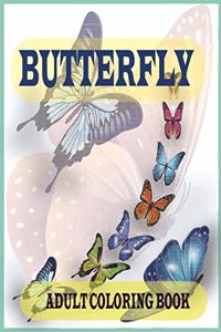 Butterfly adult coloring book