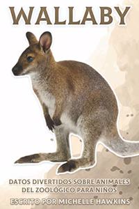 Wallaby