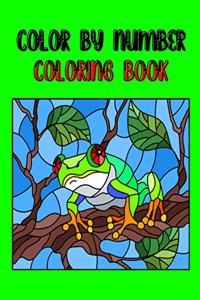 Color By Number Coloring Book
