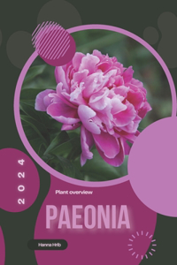 Paeonia