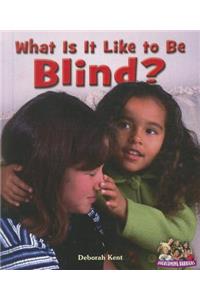 What Is It Like to Be Blind?