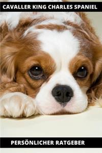 Cavaller King Charles Spaniel Persönlicher Ratgeber