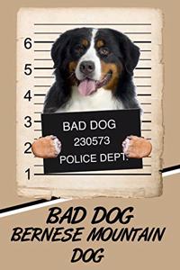Bad Dog Bernese Mountain Dog
