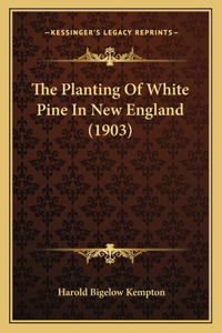 Planting Of White Pine In New England (1903)