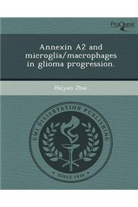 Annexin A2 and Microglia/Macrophages in Glioma Progression